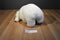 Sea World Polar Bear Plush