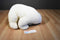 Sea World Polar Bear Plush