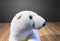 Sea World Polar Bear Plush