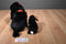 Ty Beanie Buddy 2003 and Baby 1997 Gigi the Black Poodle Beanbag Plushes