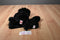 Ty Beanie Buddy 2003 and Baby 1997 Gigi the Black Poodle Beanbag Plushes