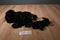 Ty Beanie Buddy 2003 and Baby 1997 Gigi the Black Poodle Beanbag Plushes