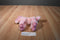 Wishpets Erin the Pink Unicorn Horse 2005 Beanbag Plush