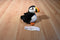 K & M International Puffin Plush