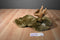 Jaag Moose Beanbag Plush