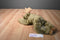 Jaag Moose Beanbag Plush