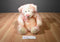 Russ Taffie Pink and White Bear Beanbag Plush
