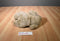 Dakin Brown Bunny Rabbit Puppet 1991 Plush