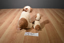Ty Beanie Buddies and Babies Rufus 2000 Dog Beanbag Plush
