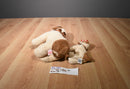 Ty Beanie Buddies and Babies Rufus 2000 Dog Beanbag Plush