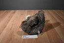 The Spinoza Company Poppy Bear 1985 Hand Puppet