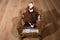 General Mills Breakfast Babies count Chocula The Count 1997 Beanbag plush