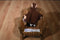 General Mills Breakfast Babies count Chocula The Count 1997 Beanbag plush