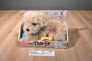Vivid Toys Scruffies Charlie Barking Eating Puppy Dog 2015 Plush