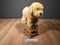 Lakeshore Learning Poseable Golden Retriever Puppy Dog Plush