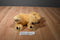 Lakeshore Learning Poseable Golden Retriever Puppy Dog Plush
