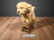 Lakeshore Learning Poseable Golden Retriever Puppy Dog Plush