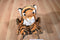 Aurora Tiger Cub 2018 Beanbag Plush