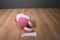 Disney Store Piglet Beanbag Plush