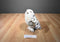 Fiesta Snowy Owl Plush