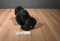 Gund Elvis the Lowland Gorilla Plush