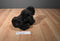 Gund Elvis the Lowland Gorilla Plush