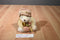 Russ Reflections on Living Lil Creampuff White Bear Plush