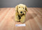 Build a Bear Golden Retriever Dog Beanbag Plush