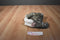 Douglas Zipper Grey Tabby Cat Plush