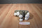 Douglas Zipper Grey Tabby Cat Plush