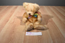 Russ Pennington Gold Honey Colored Teddy Bear Beanbag Plush
