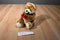 Ty Beanie Buddy Always Brown Bear with Red Rose 2005 Beanbag Plush