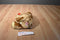 Ty Beanie Buddy Always Brown Bear with Red Rose 2005 Beanbag Plush