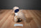 Wells Fargo Nellie Tan Pony 2015 Plush