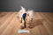 Wells Fargo Nellie Tan Pony 2015 Plush