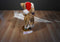 Fiesta tan and White Cat With Christmas Lights Beanbag Plush