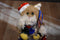 Fiesta tan and White Cat With Christmas Lights Beanbag Plush