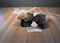 Aurora A&A Mel the Brown Moose Beanbag Plush