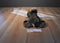 Aurora A&A Mel the Brown Moose Beanbag Plush