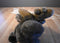 Aurora A&A Mel the Brown Moose Beanbag Plush