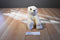 Aurora Miyoni Cream Colored Polar Beanbag Plush