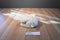 Aurora Miyoni Cream Colored Polar Beanbag Plush
