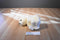 Aurora Miyoni Cream Colored Polar Beanbag Plush