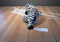 Fiesta Lazybeans Martha the Zebra Beanbag Plush