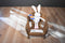 General Mills Trix Rabbit 2000 Beanbag Plush