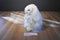 Ty Classic Cashmere White Bunny Rabbit With Blue Bow 2001 Beanbag Plush