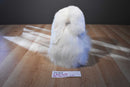 Ty Classic Cashmere White Bunny Rabbit With Blue Bow 2001 Beanbag Plush