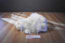 Ty Classic Cashmere White Bunny Rabbit With Blue Bow 2001 Beanbag Plush
