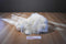 Ty Classic Cashmere White Bunny Rabbit With Blue Bow 2001 Beanbag Plush