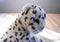 Tan, White and Black Spotted Cheetah Plush